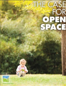 Click here to read The Case for Open Space